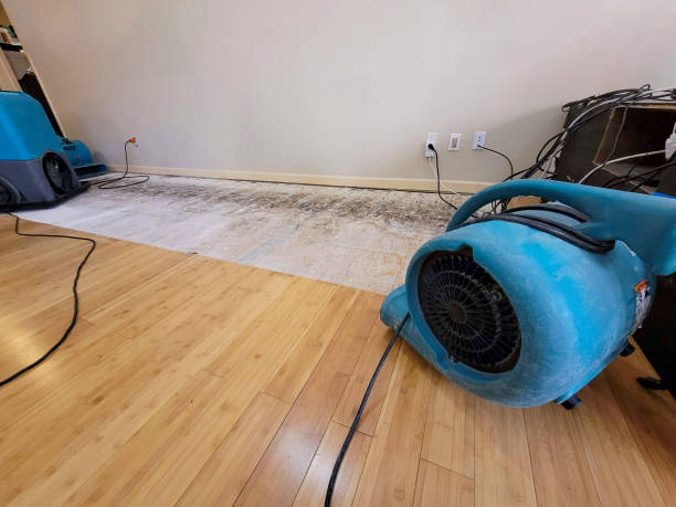 Professional Burst Pipe Water Damage technician working in Loudonville, NY